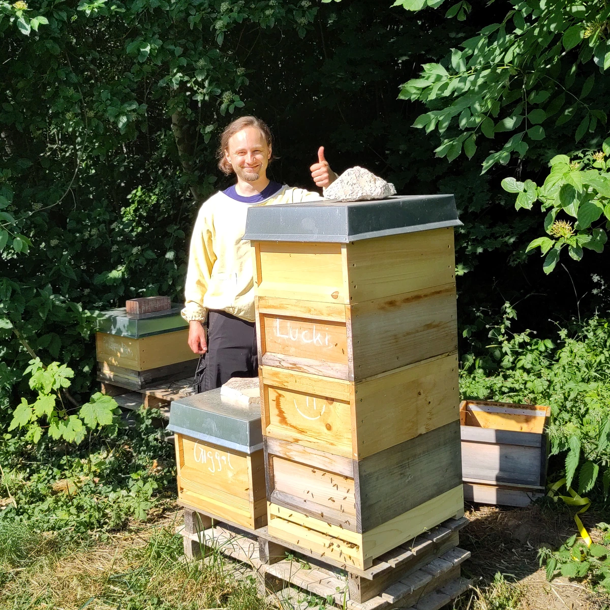 Der Imker steht mit erhobenem Daumen hinter einem hohen Bienenstock aus gestapelten Holzzargen am Waldrand