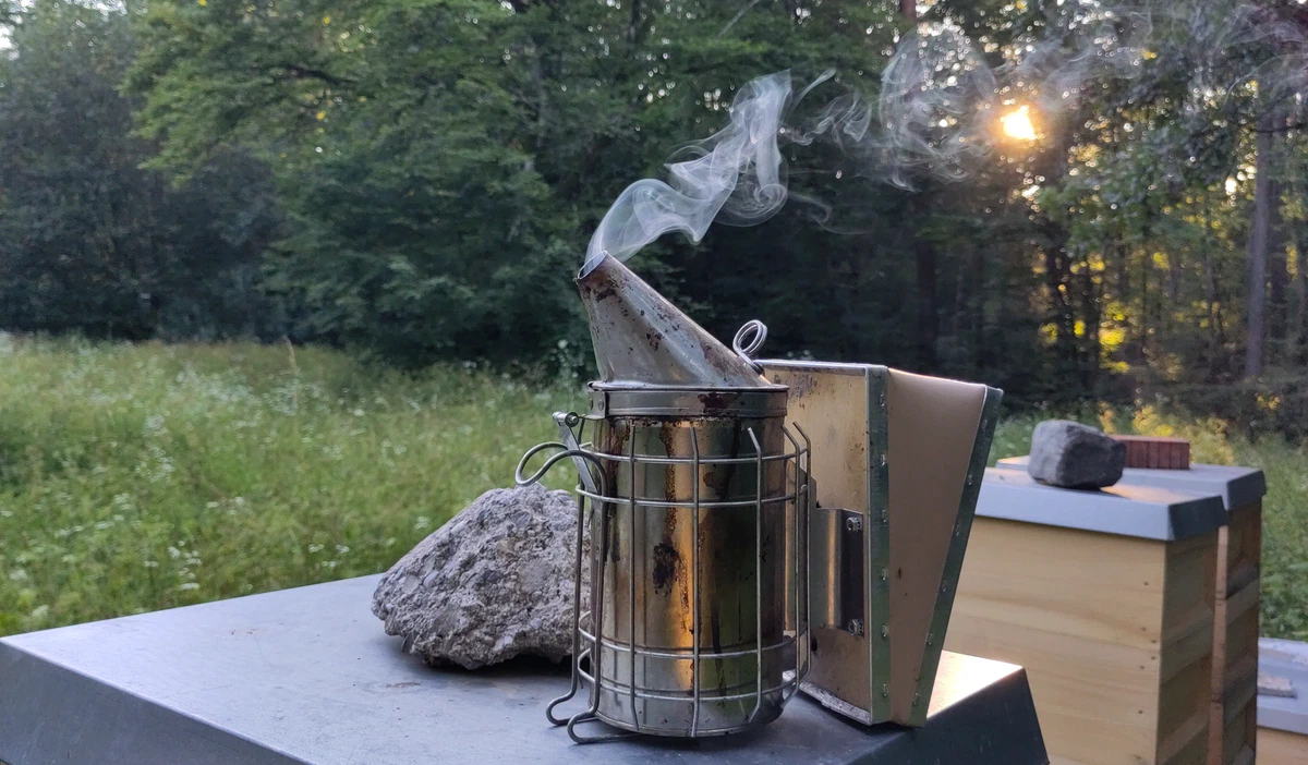 Rauchender Smoker auf dem Blechdeckel eines Bienenstocks, dahinter eine Wiese am Waldrand im Abendlicht