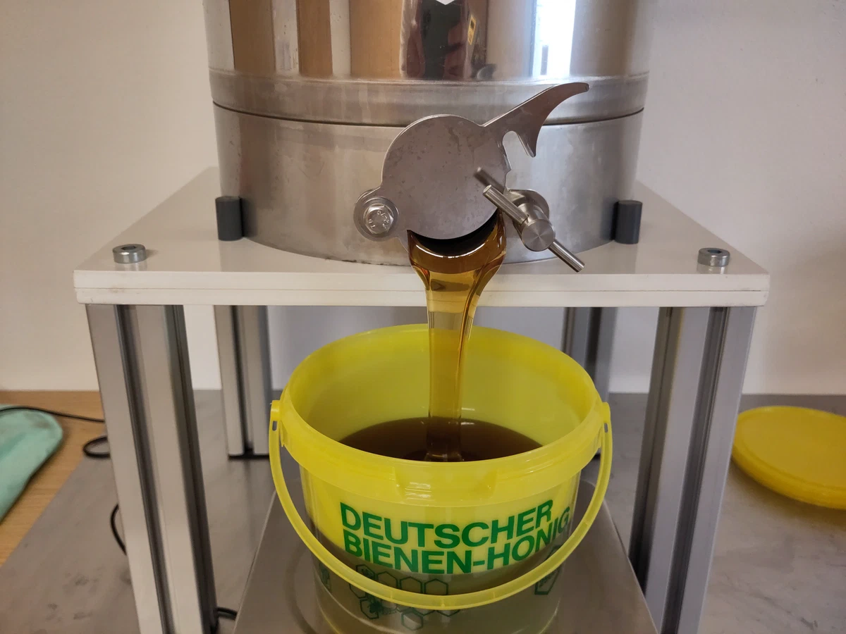 Goldener Honig fließt aus dem Abfüllkübel in einen gelben Eimer